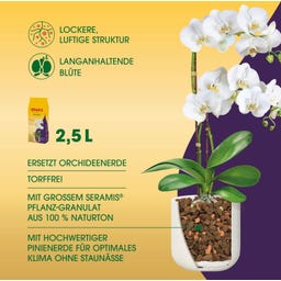 Seramis Spezial-Substrat für Orchideen - 2,50 l