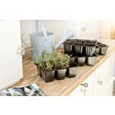 Windhager Planter Tray - 4 x 6 pots