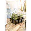 Windhager Planter Tray - 4 x 6 pots