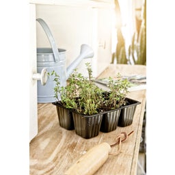 Windhager Planter Tray - 4 x 6 pots