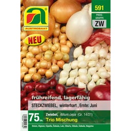 AUSTROSAAT Wintersteckzwiebel Trio Mischung - 75 Stück