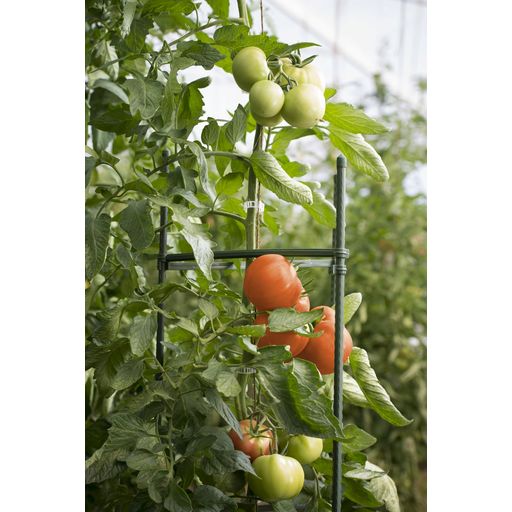 Windhager Tomato Support Tower - 1 item
