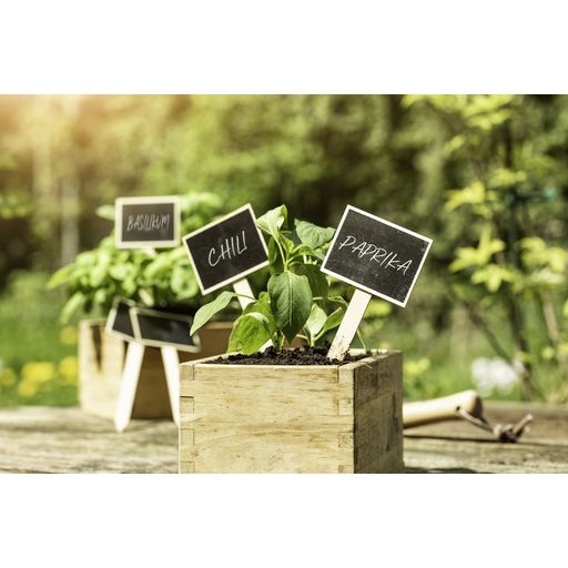 Windhager Chalkboard Plant Labels - 1 Set