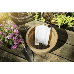 Windhager Plantpal - Automatic Water Dispenser