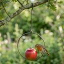 Esschert Design Vogelfutterhänger - rund
