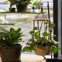 Esschert Design Indoor Blumenampel mit Kletterhilfe