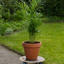 Plantenroller Outdoor - 