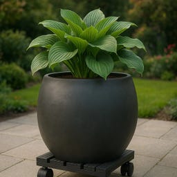 Esschert Design WPC Outdoor Plant Trolley - Square