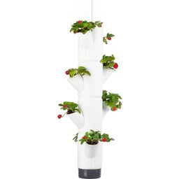 Gusta Garden Erdbeerturm - Sissi Strawberry Hanging - Weiss