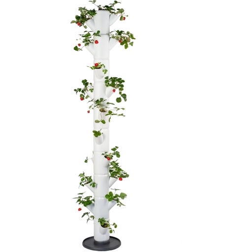 GUSTA GARDEN Sissi Fraisier Suspendu Blanc - Système Vertical 77 Cm 10L Pour Balcon Et Jardin