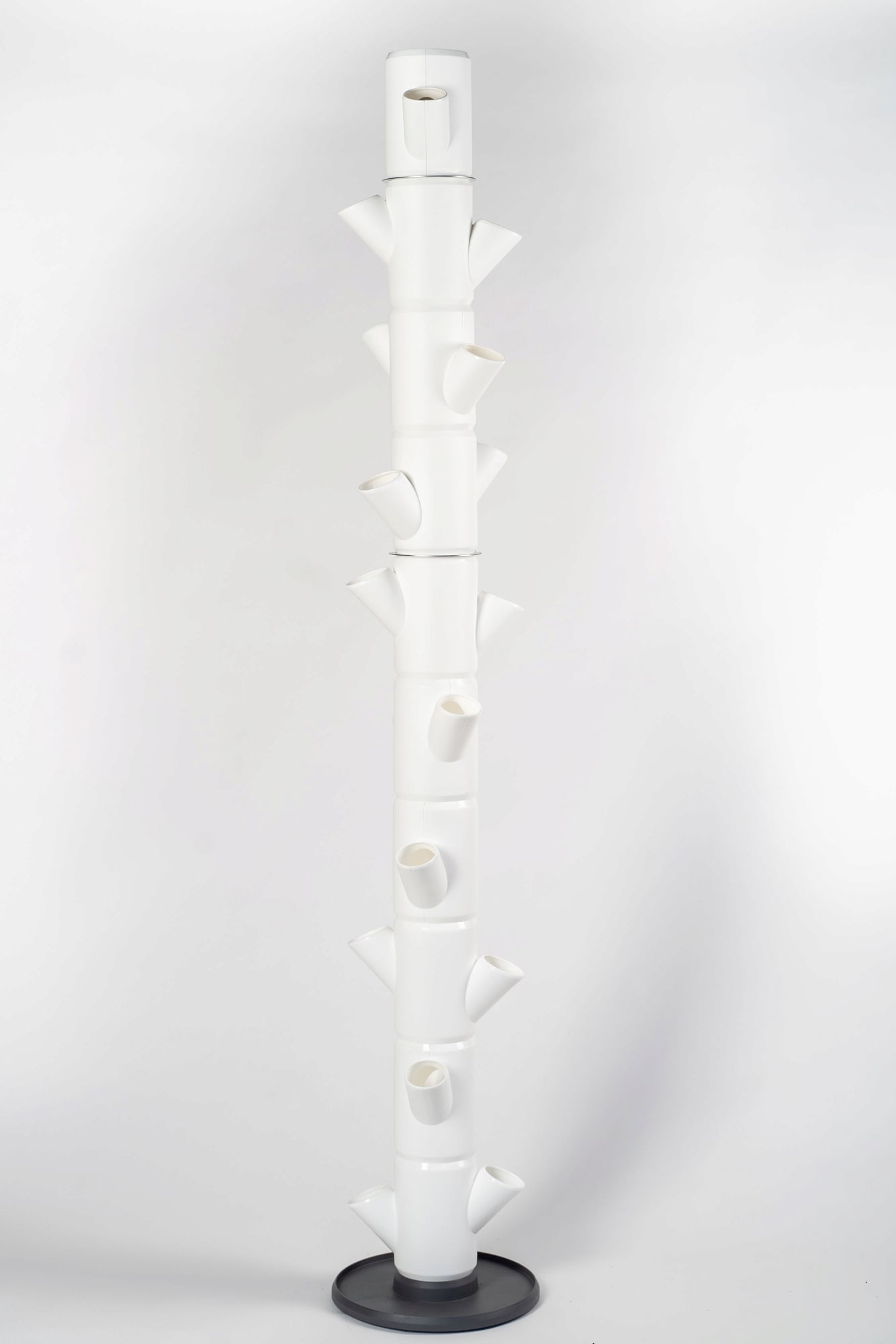 Paul Potato Sissi Strawberry Infinity - white