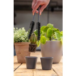 Esschert Design Cactustang