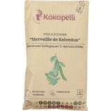 Kokopelli Bio Groszek &bdquo;Merveille de Kelvedon&ldquo;