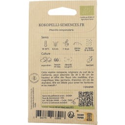 Kokopelli Facelia Bio
