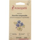 Kokopelli Facelia Bio