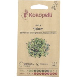 Kokopelli Alface Batavia Bio - Joker