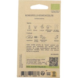 Kokopelli Alface Batavia Bio - Joker