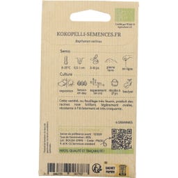 Kokopelli Rabanete Bio - Pink Beauty