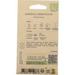 Kokopelli Canónigos Bio