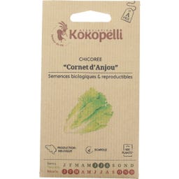 Kokopelli Cicoria Bio - Cornet d'Anjou