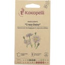 Kokopelli Bio margaréta „Crazy Daisy“