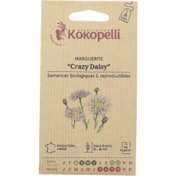 Kokopelli Bio margaréta „Crazy Daisy“