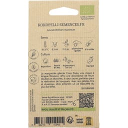 Kokopelli Bio margaréta „Crazy Daisy“