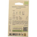 Kokopelli Rudbéquia Bio - Cappuccino