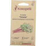 Kokopelli Rabarbaro Bio - Victoria