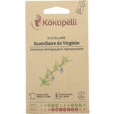 Kokopelli Scutellaria Virginiana Bio