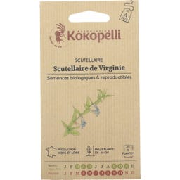 Kokopelli Bio Virginisches Helmkraut (Scutellaria)