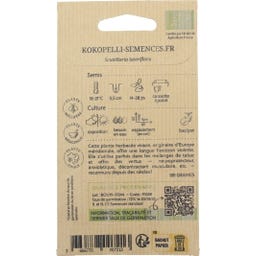 Kokopelli Bio Virginisches Helmkraut (Scutellaria)
