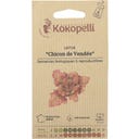 Kokopelli Alface Romana Bio - Chicon de Vendée