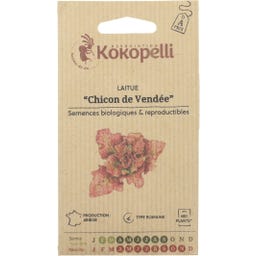 Kokopelli Alface Romana Bio - Chicon de Vendée