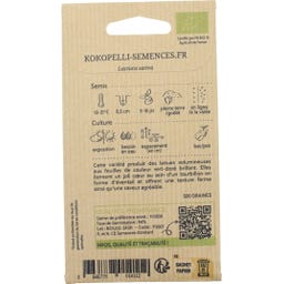 Kokopelli Alface de Corte Bio - Emerald Fan