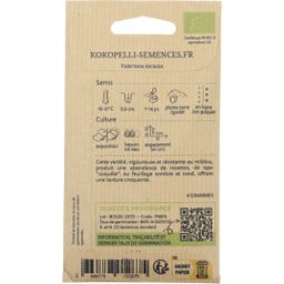 Kokopelli Canónigos Bio - Élan