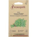 Kokopelli Organic Giant Parsley