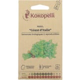 Kokopelli Organic Giant Parsley
