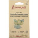 Cavolo Cappuccio Bianco Bio - Pointu de Chateaurenard