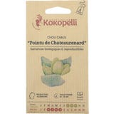 Cavolo Cappuccio Bianco Bio - Pointu de Chateaurenard