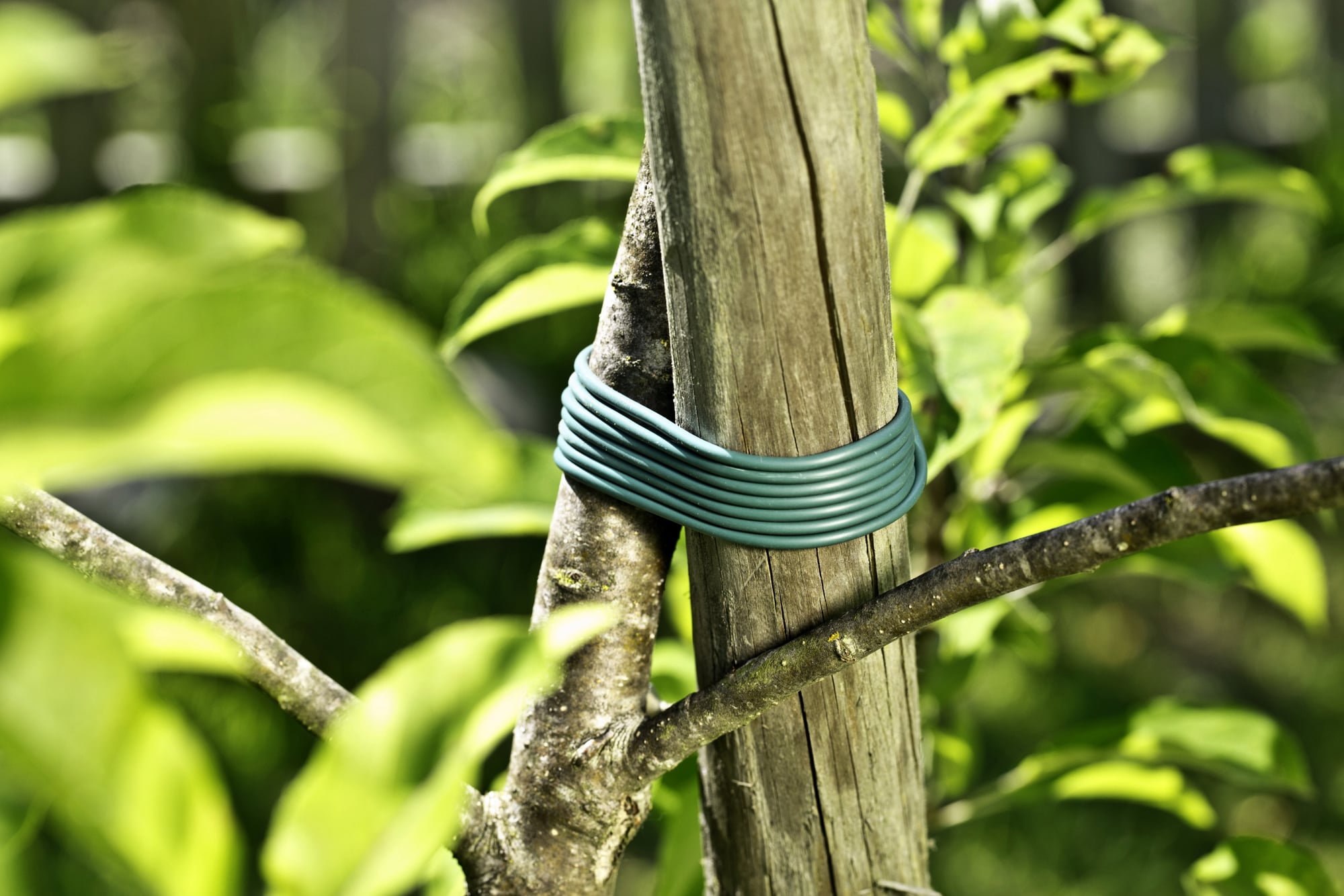 Windhager Plastic Cord - 1 Pkg