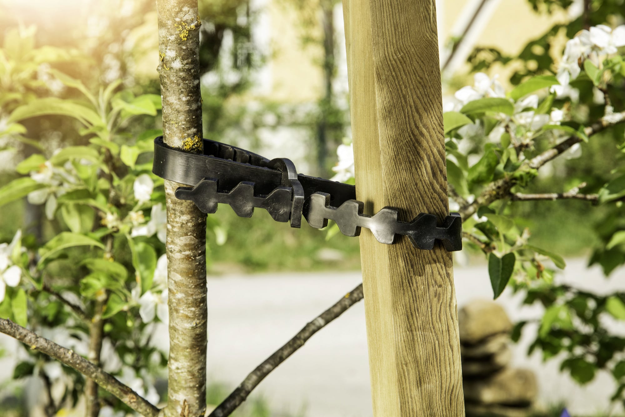 Colliers pour Arbres en Caoutchouc - Lot de 2 - 2 paires