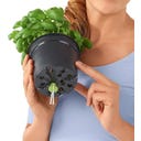 Lechuza Watering Stick Set of 3 - 6 pieces