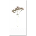 Chic Antique Serviette 
