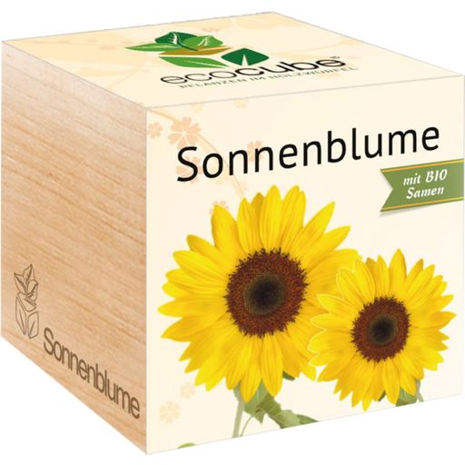 Feel Green ecocube "Sonnenblume" - Sonnenblume