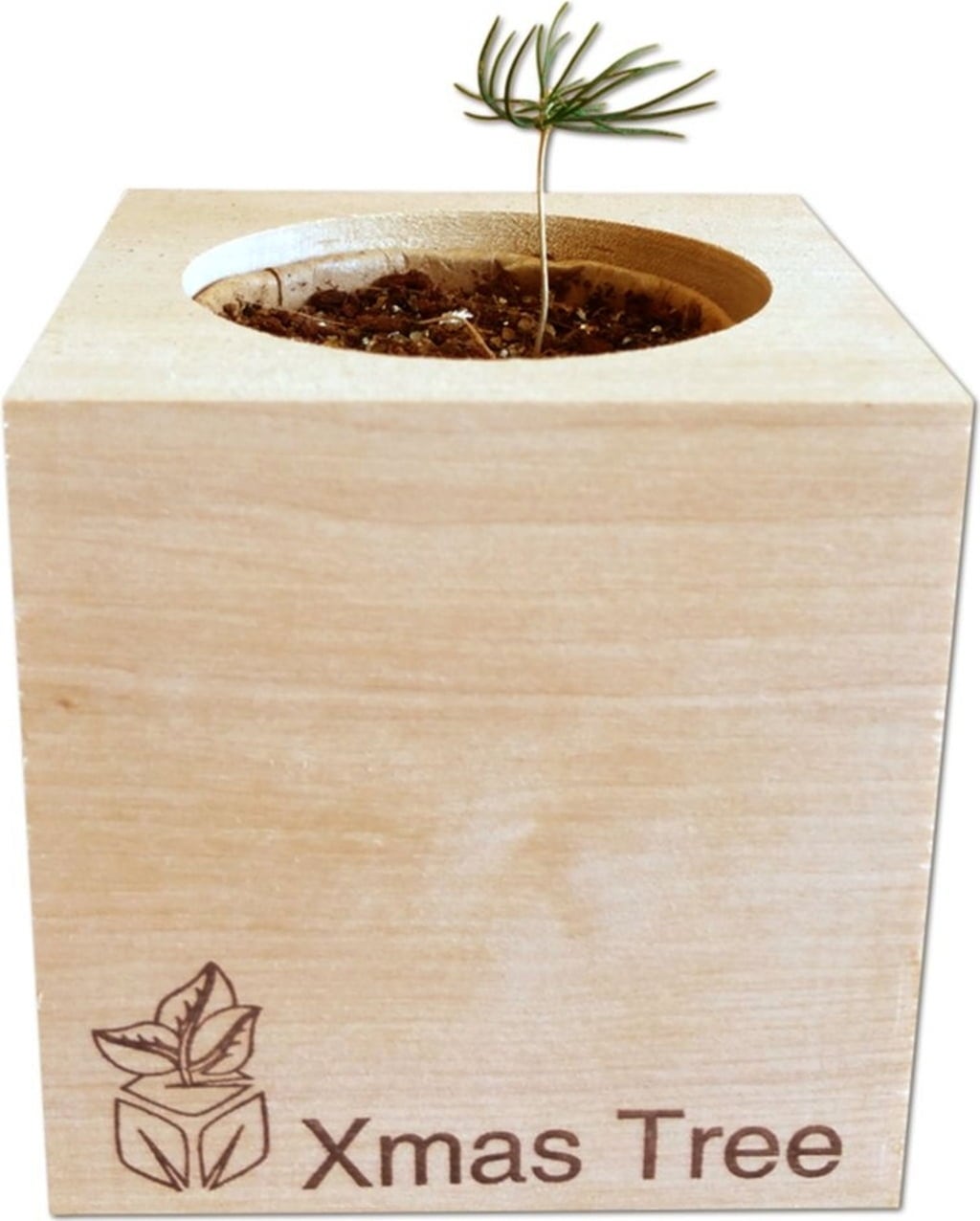 Feel Green ecocube 