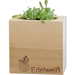Feel Green ecocube Edelweiss