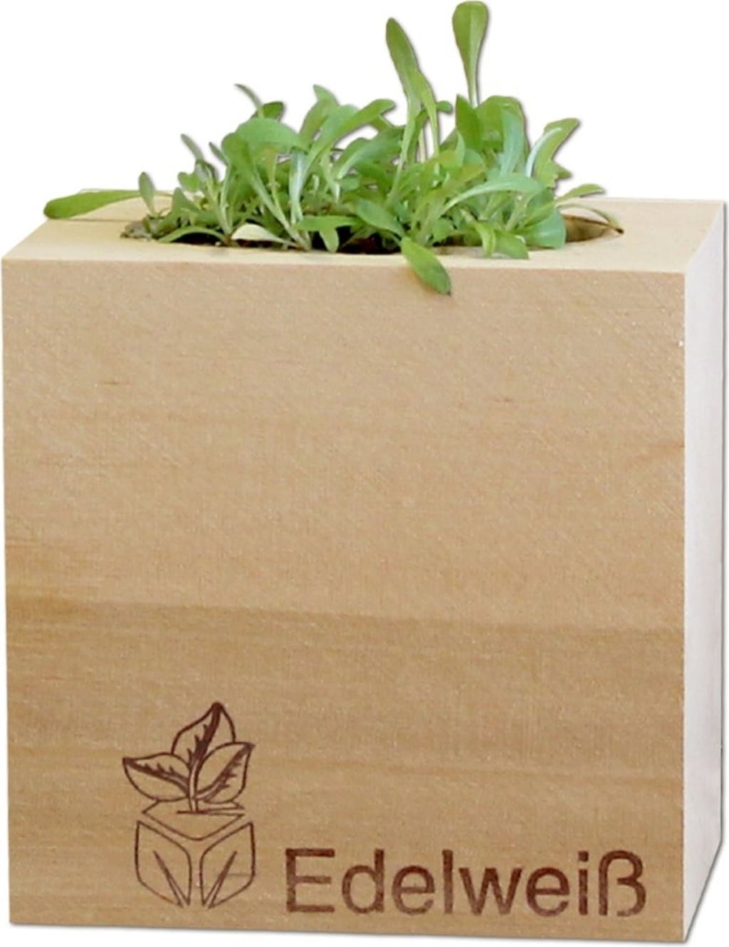 Feel Green ecocube 
