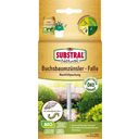 SUBSTRAL® Naturen® Boxwood Moth Pheromone Trap Refill - 1 item