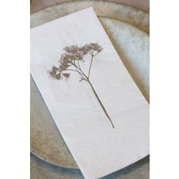 Chic Antique Serviette 